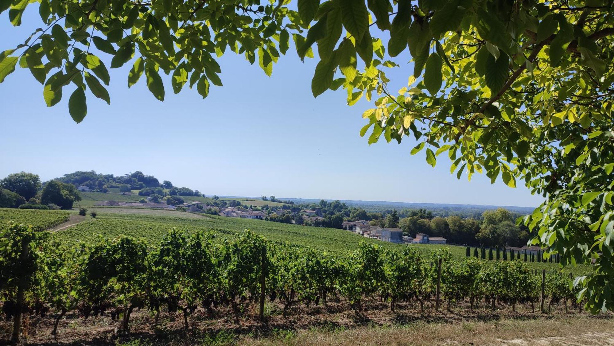 Maison Charmeilles - Gite Touristique - Coliving Fronsac  Exterior photo