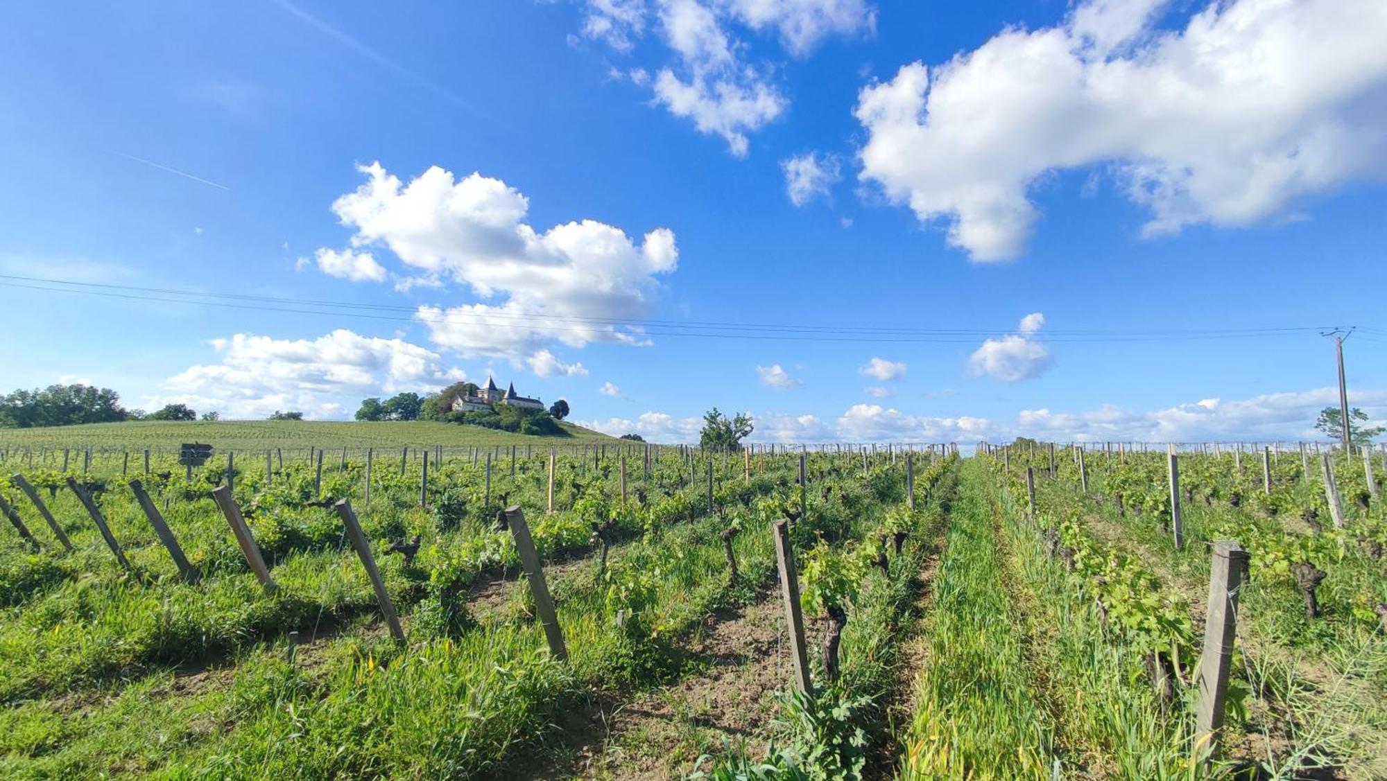 Maison Charmeilles - Gite Touristique - Coliving Fronsac  Exterior photo